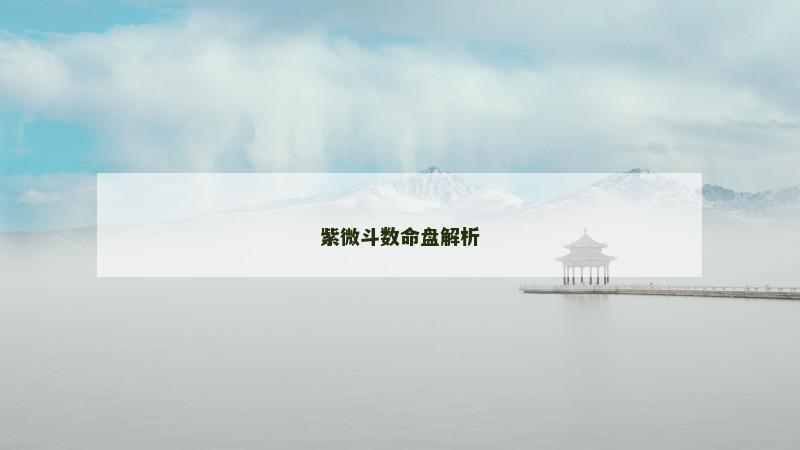 紫微斗数命盘解析 紫微斗数命盘解析
