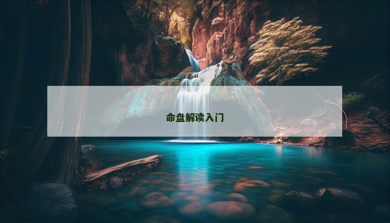 命盘解读入门 命盘解读入门