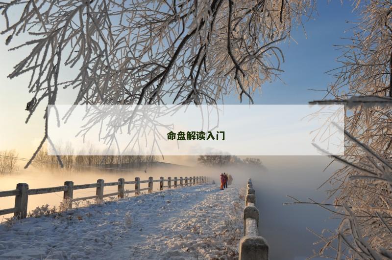 命盘解读入门 命盘解读入门