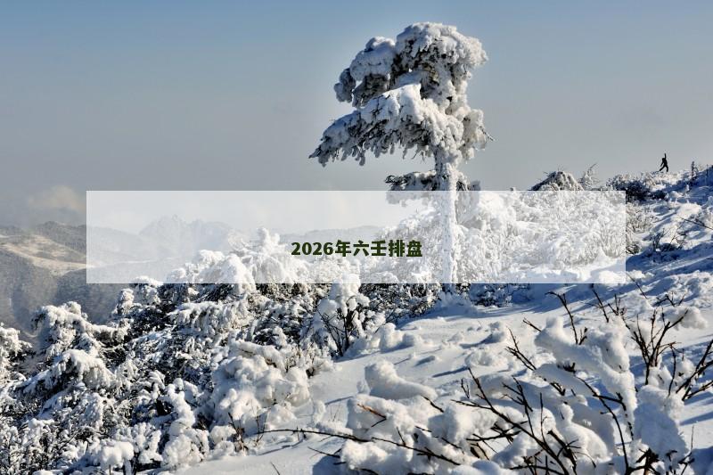 2026年六壬排盘 2026年六壬排盘