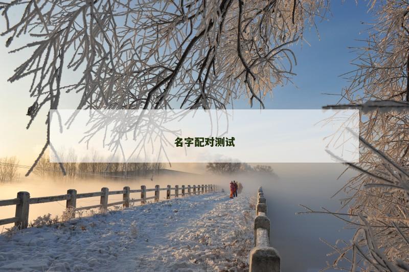 名字配对测试