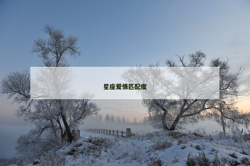 星座爱情匹配度 星座爱情匹配度