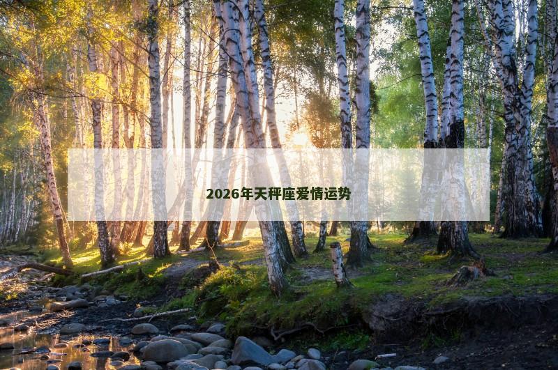 2026年天秤座爱情运势