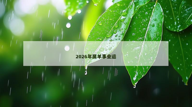 2026年属羊事业运