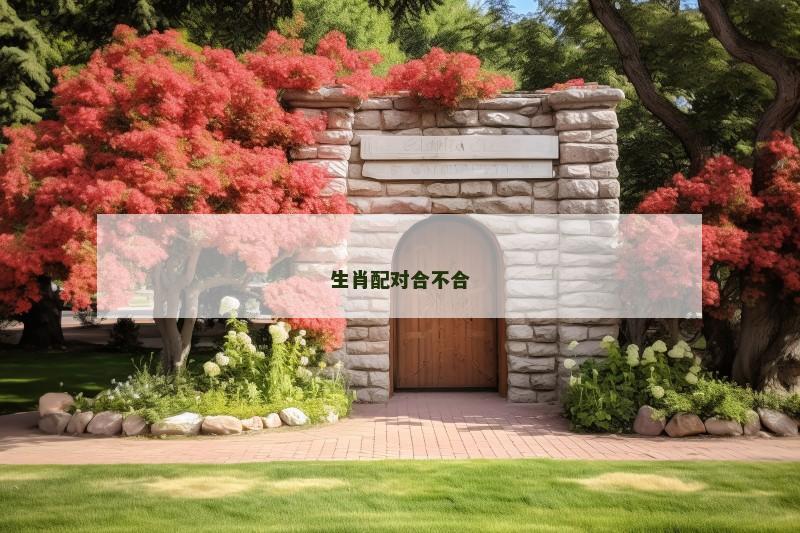 生肖配对合不合 生肖配对合不合