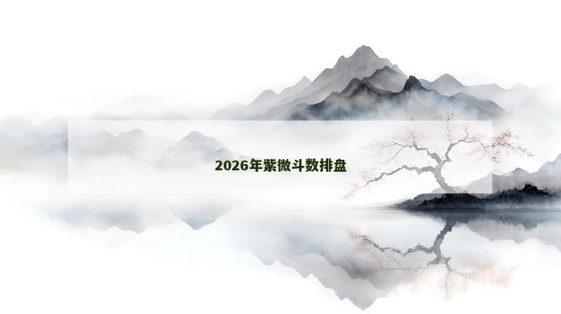 2026年紫微斗数排盘