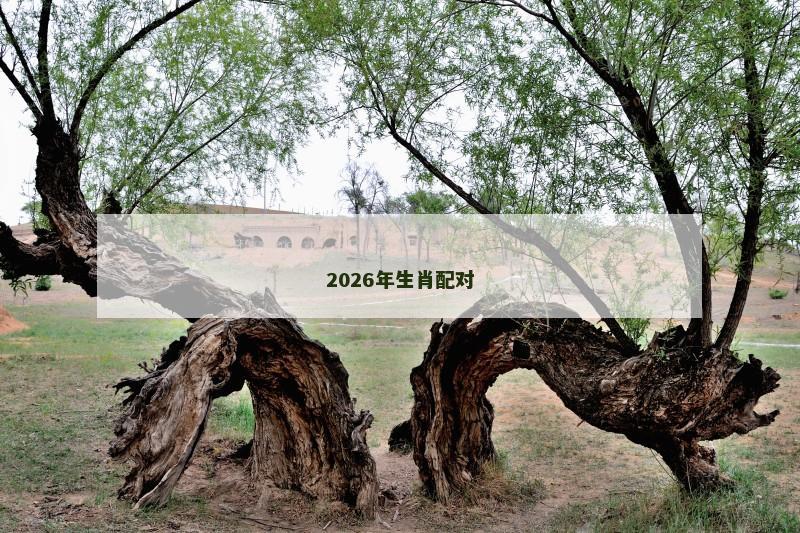2026年生肖配对 2026年生肖配对