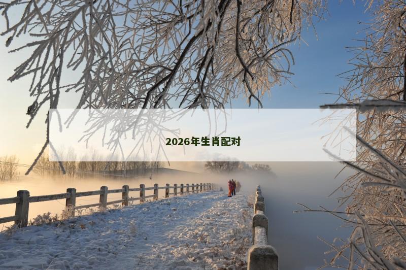 2026年生肖配对