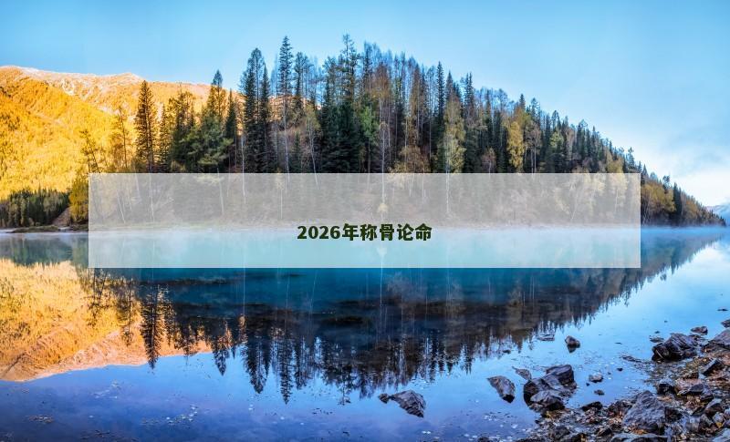 2026年称骨论命 2026年称骨论命