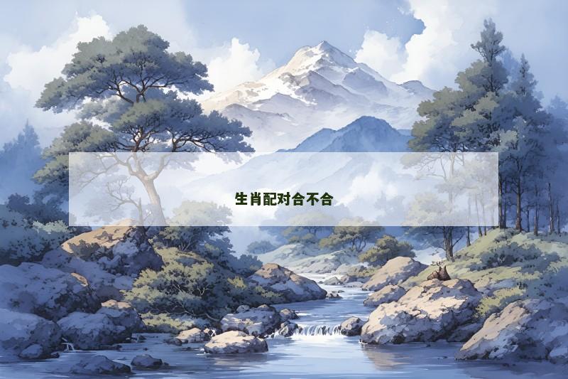 生肖配对合不合