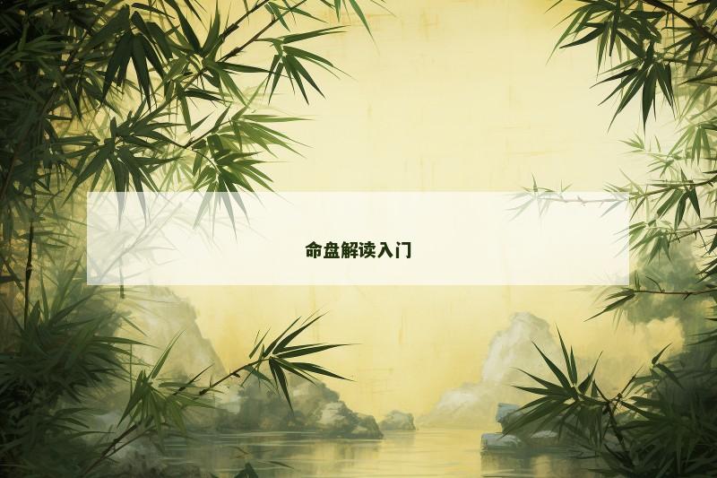 命盘解读入门 命盘解读入门