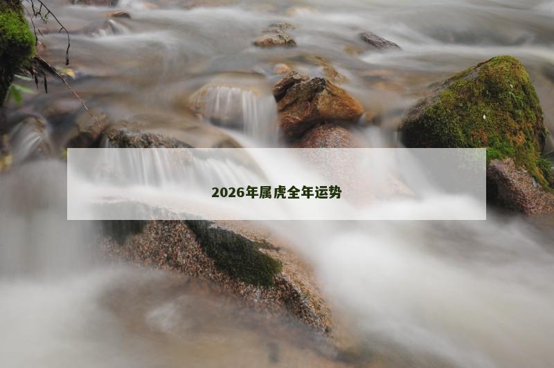 2026年属虎全年运势 2026年属虎全年运势