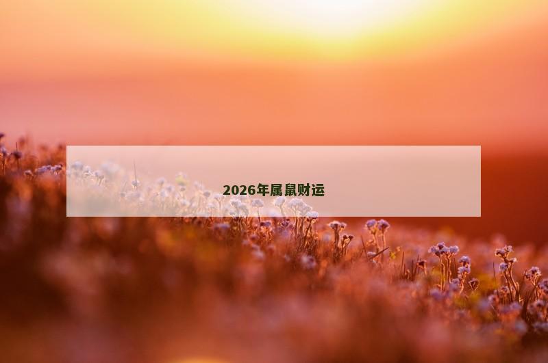 2026年属鼠财运 2026年属鼠财运