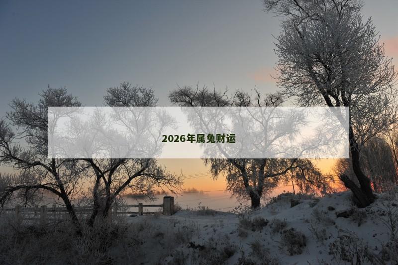 2026年属兔财运