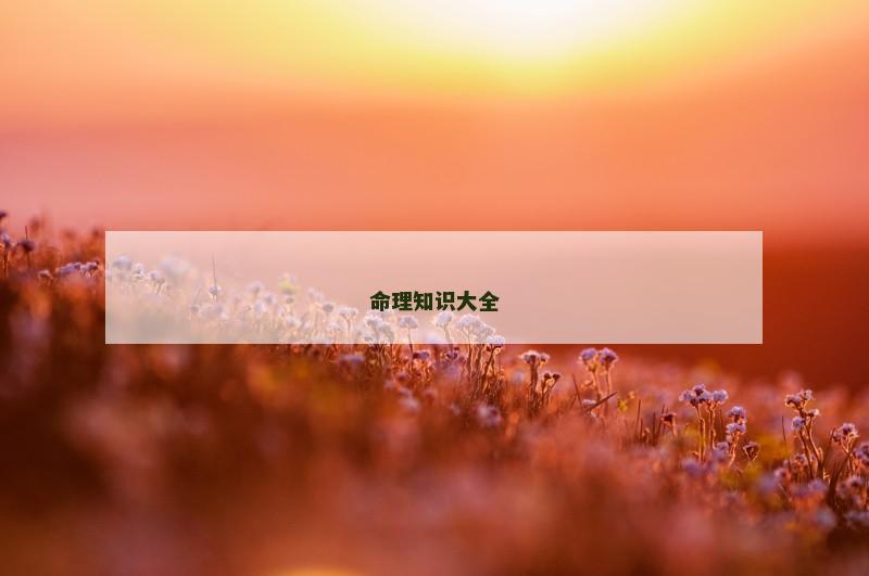 命理知识大全 命理知识大全