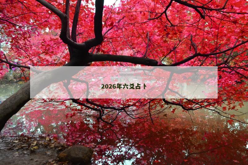 2026年六爻占卜 2026年六爻占卜