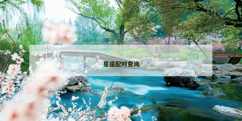 星座配对查询