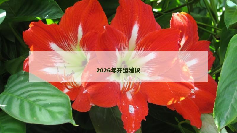 2026年开运建议 2026年开运建议
