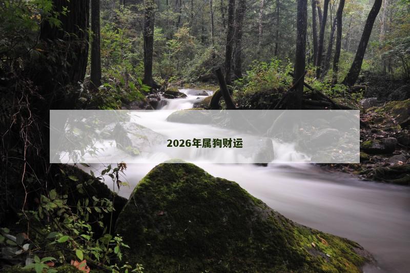2026年属狗财运