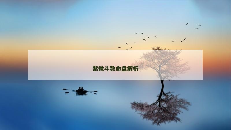 紫微斗数命盘解析