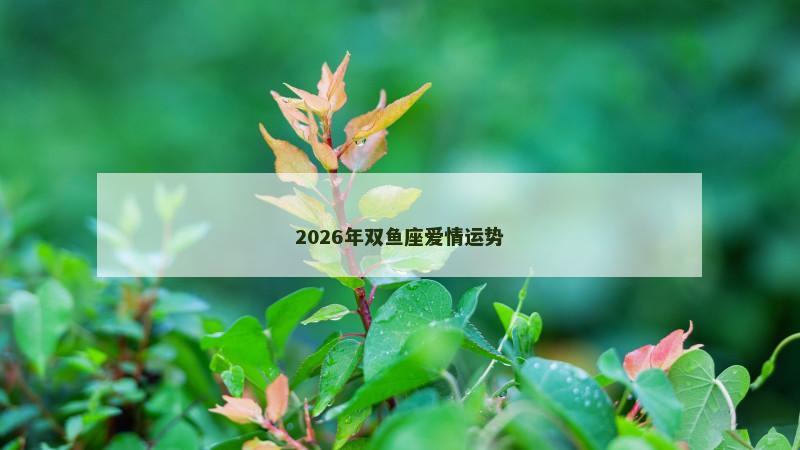 2026年双鱼座爱情运势