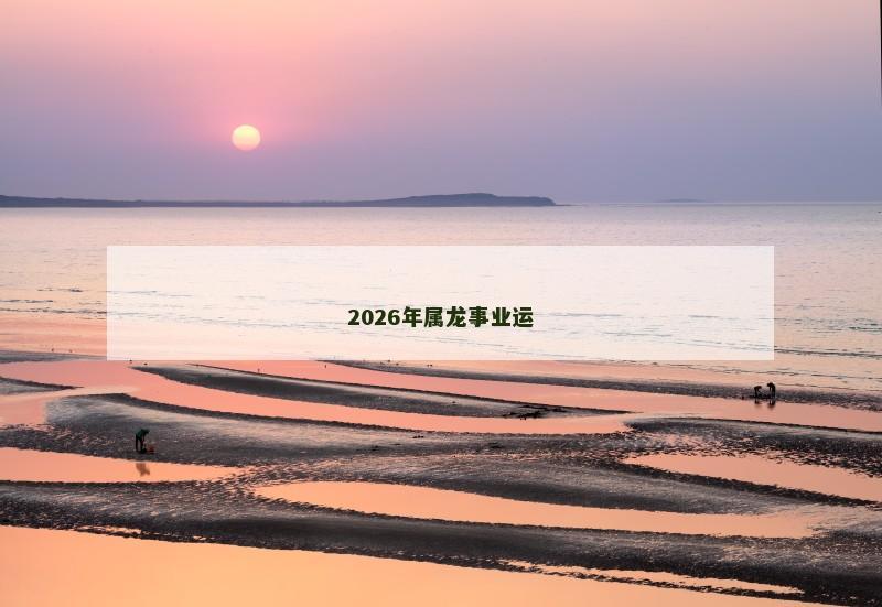 2026年属龙事业运 2026年属龙事业运