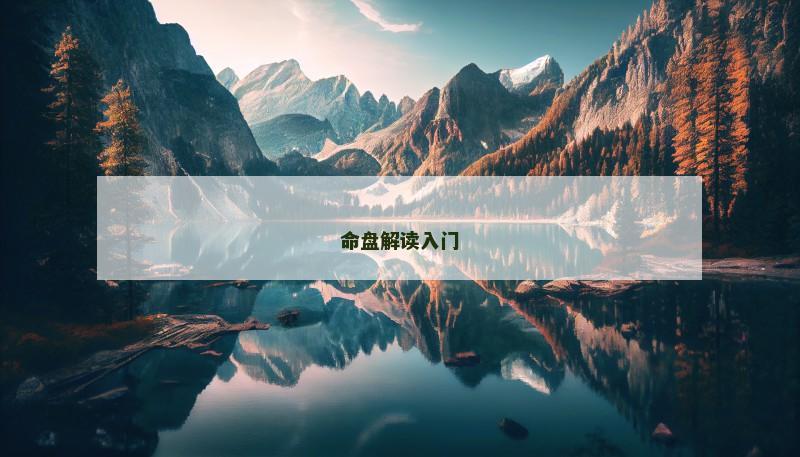 命盘解读入门