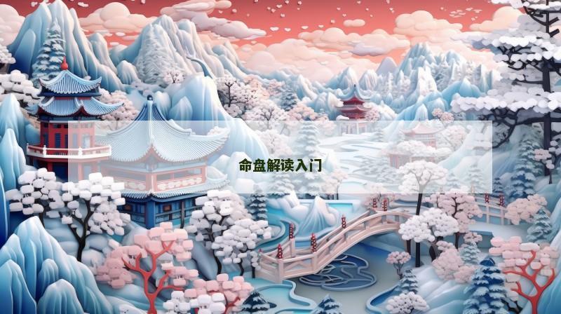 命盘解读入门