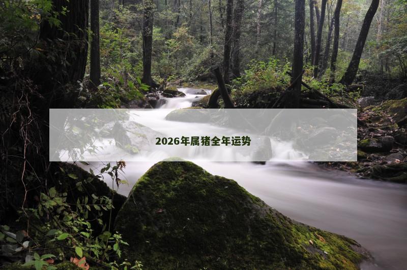 2026年属猪全年运势 2026年属猪全年运势