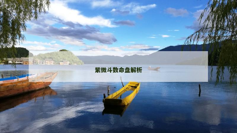 紫微斗数命盘解析