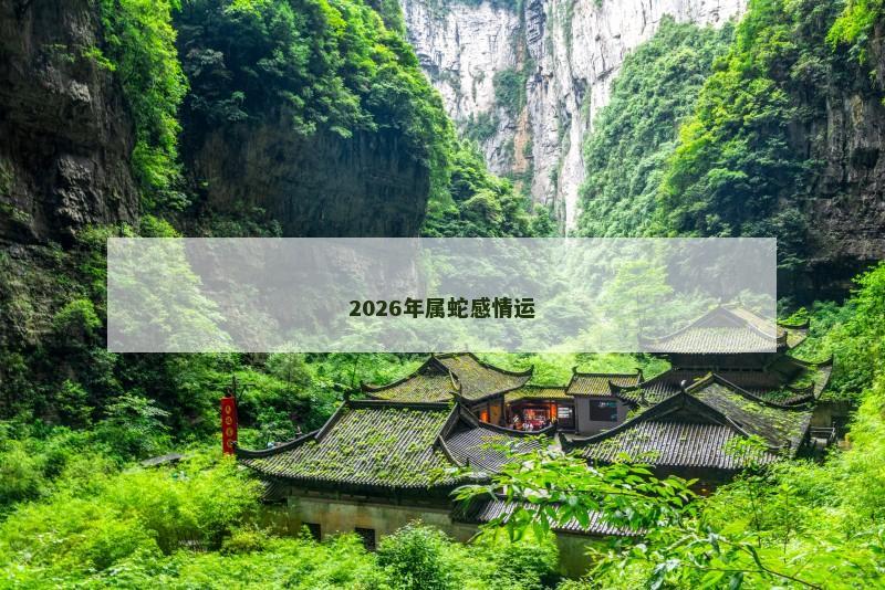 2026年属蛇感情运