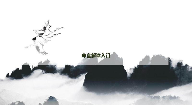 命盘解读入门 命盘解读入门