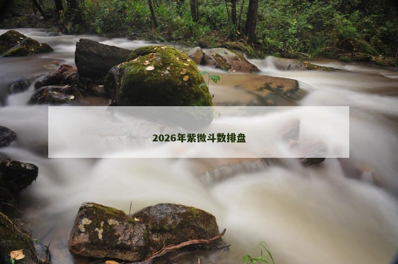 2026年紫微斗数排盘