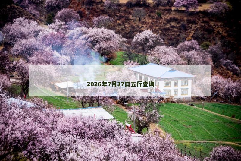 2026年7月27日五行查询