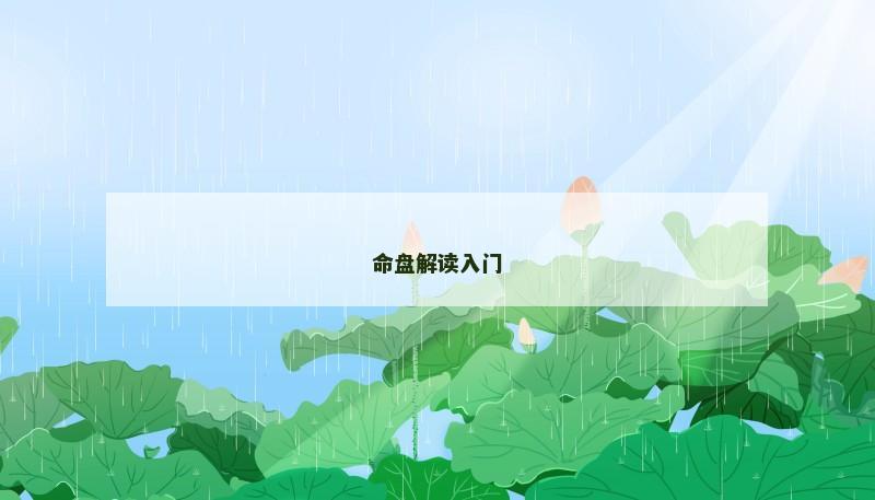 命盘解读入门