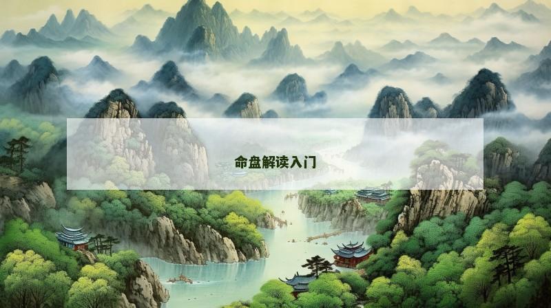 命盘解读入门 命盘解读入门