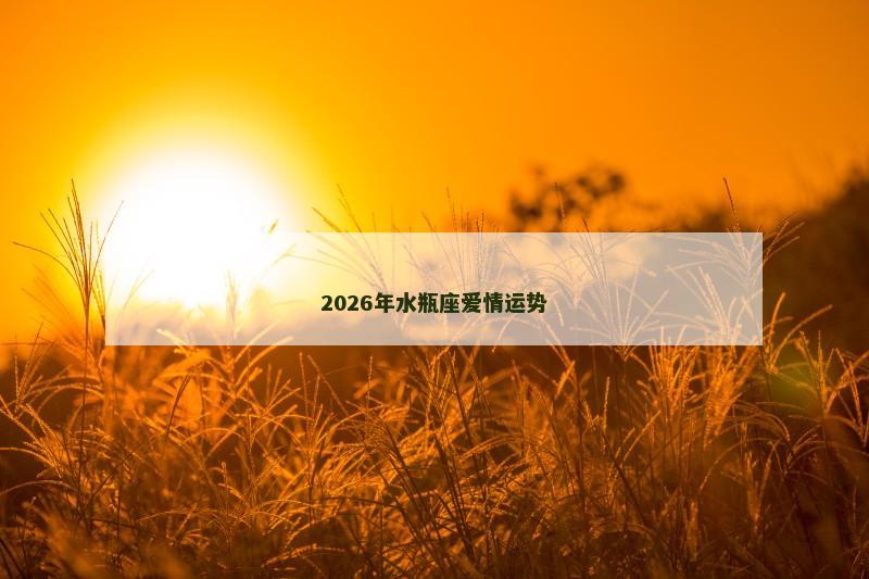 2026年水瓶座爱情运势
