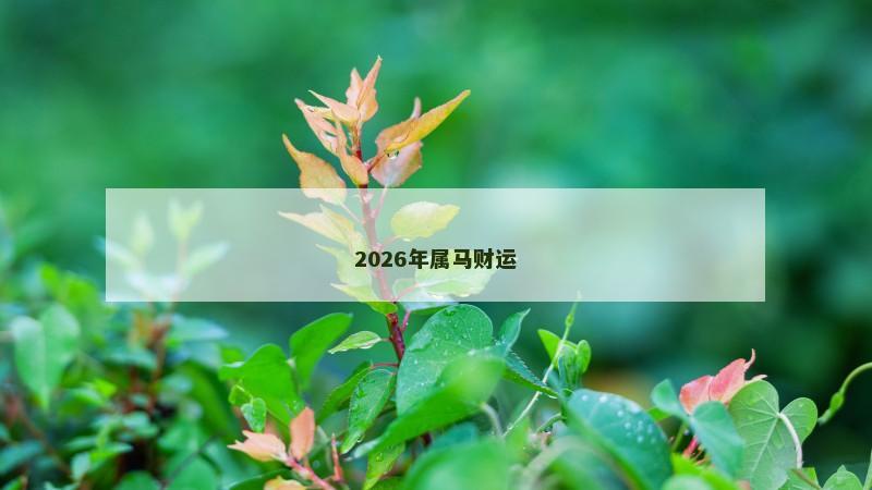 2026年属马财运
