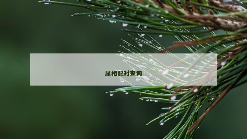 属相配对查询