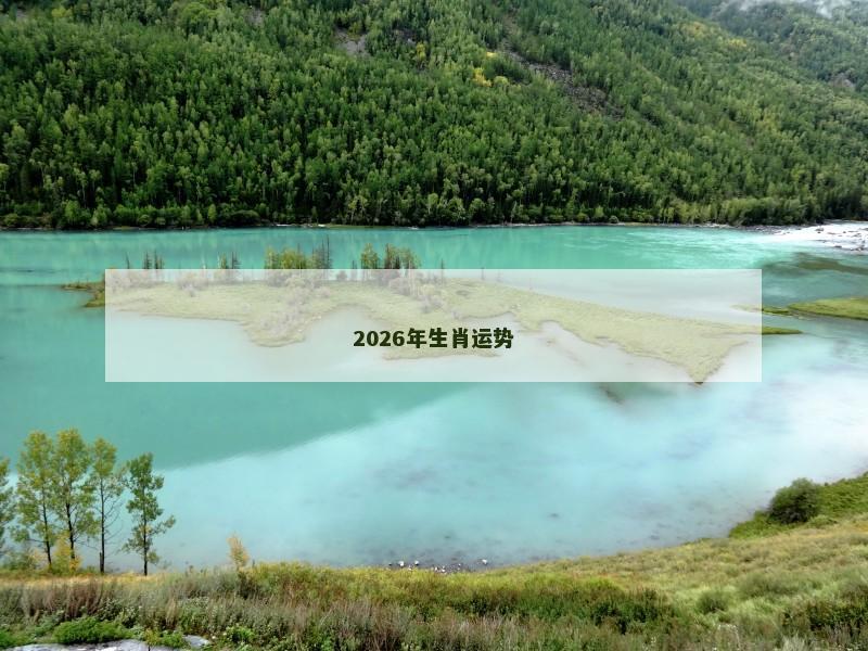 2026年生肖运势