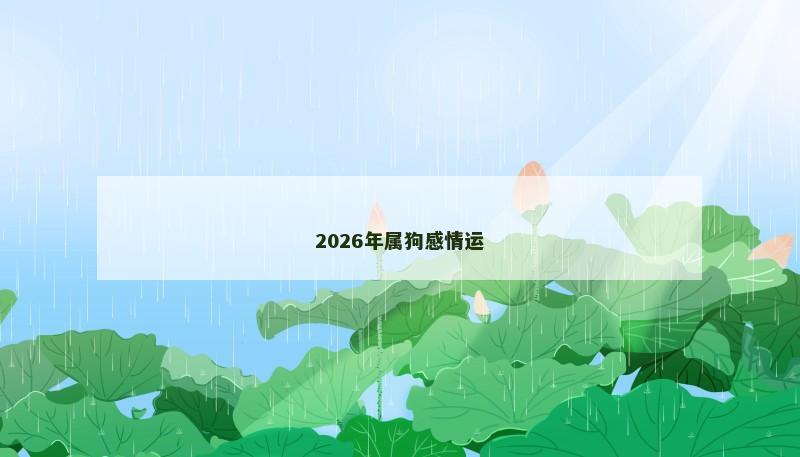 2026年属狗感情运