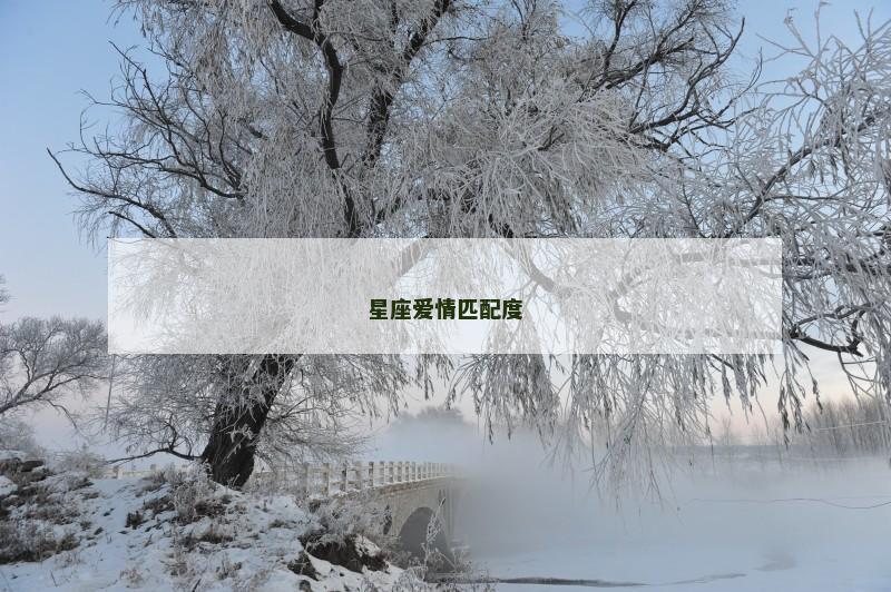 星座爱情匹配度