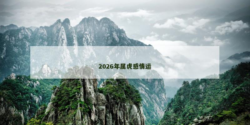 2026年属虎感情运