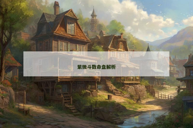 紫微斗数命盘解析