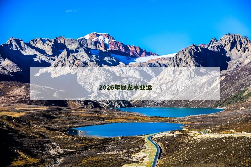 2026年属龙事业运