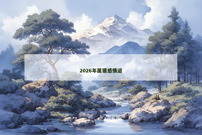 2026年属猪感情运