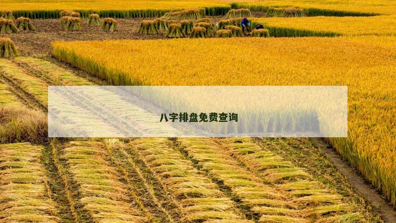 八字排盘免费查询