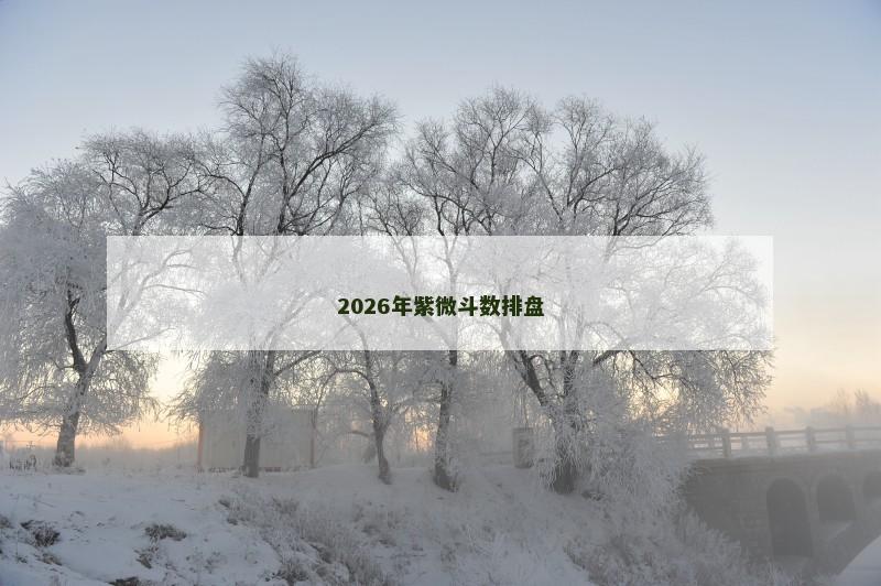 2026年紫微斗数排盘