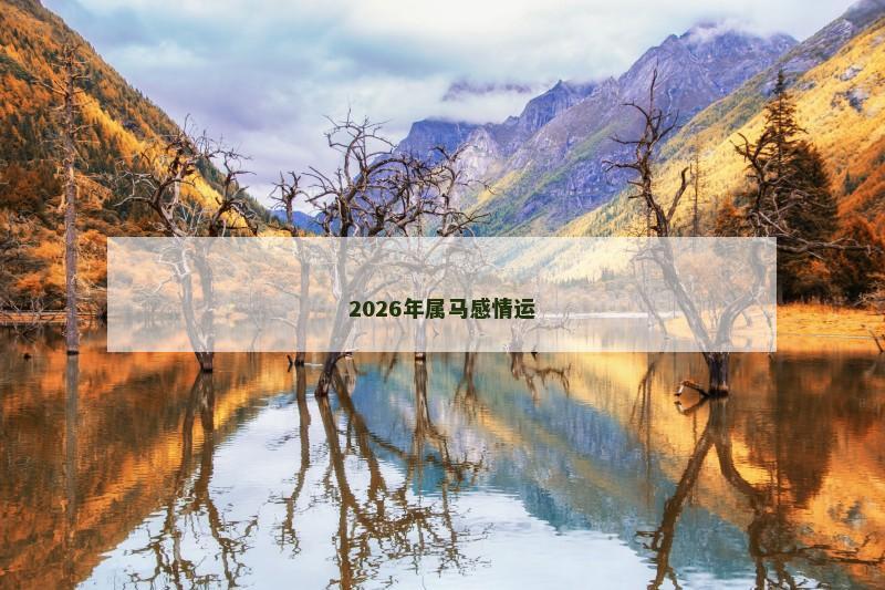2026年属马感情运