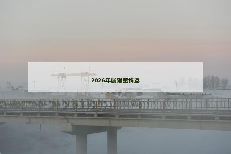 2026年属猴感情运